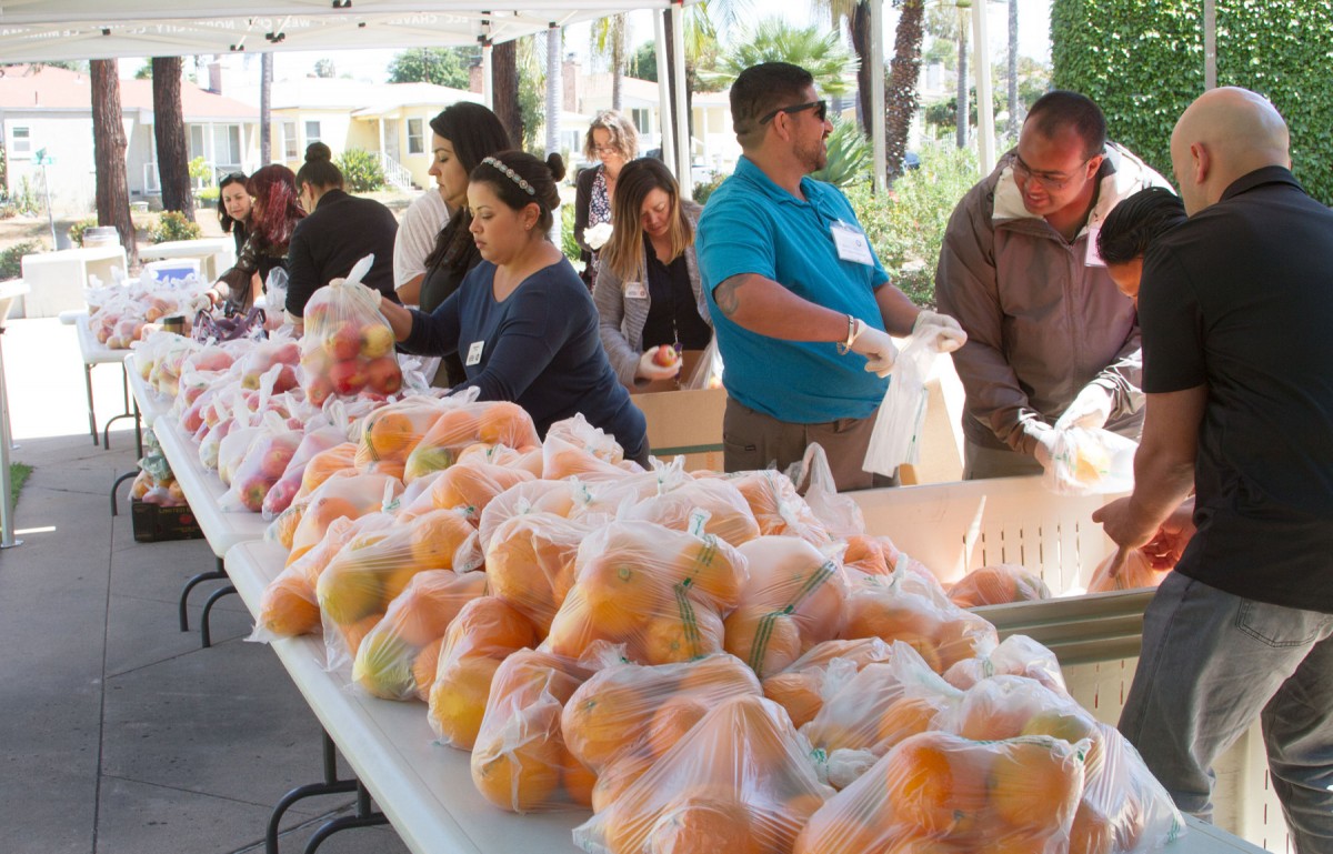 San Diego Continuing Education Outreach Ambassadors Prepare for SDCE’s Farm to Family Fair