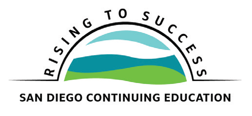 Rise to Success SDCE