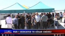 thumbnail of crowd on rooftop